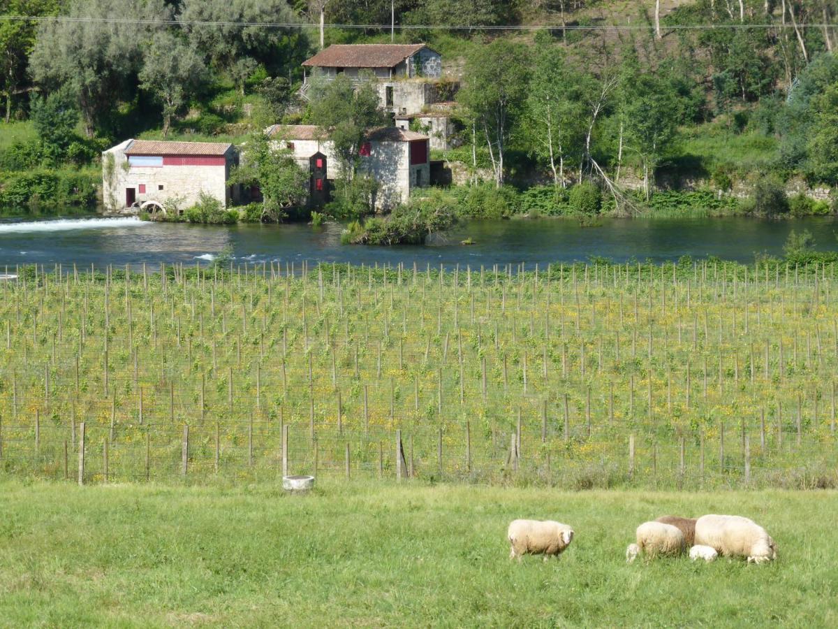 Quinta Do Burgo - Nature Hotel Amares Exteriér fotografie